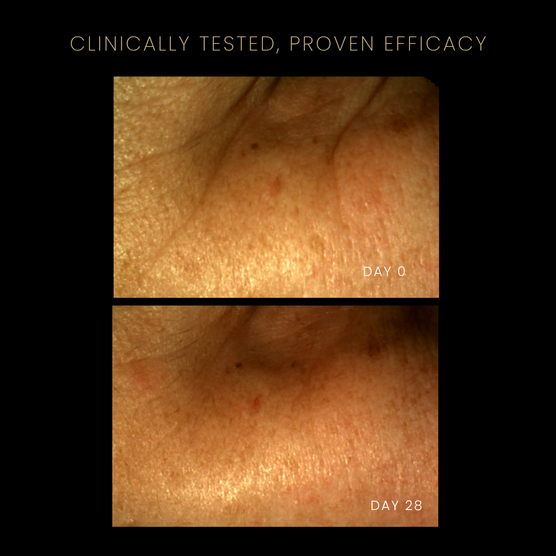 Ageless Serum