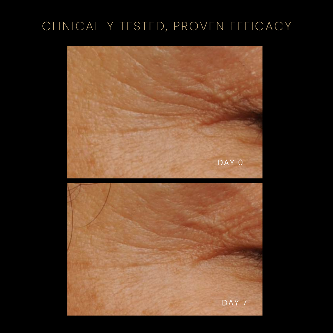 Ageless Serum